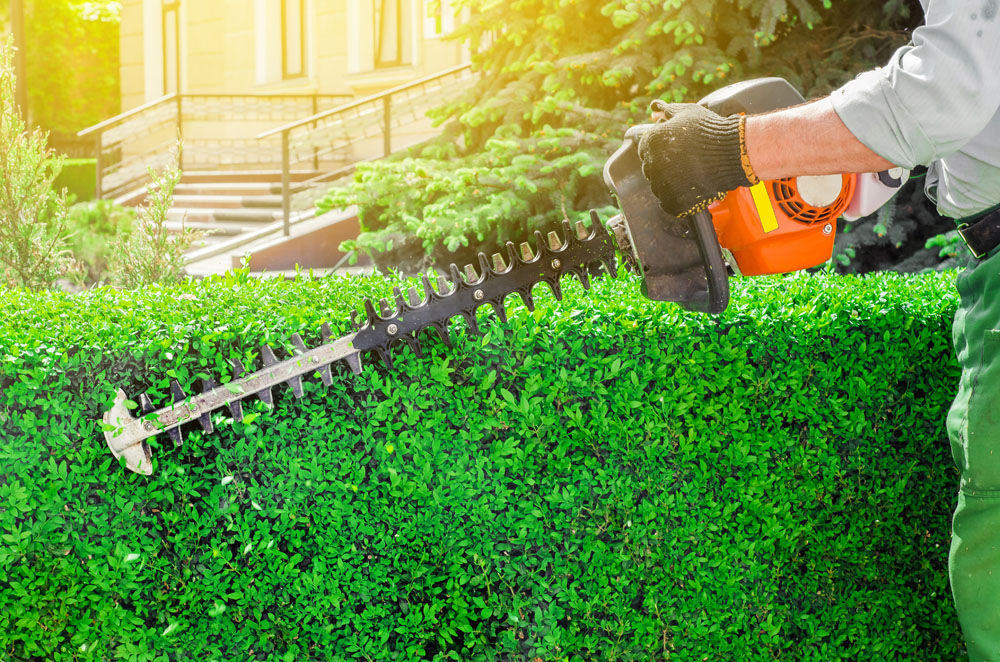 Realisatie Tuinonderhoud 4